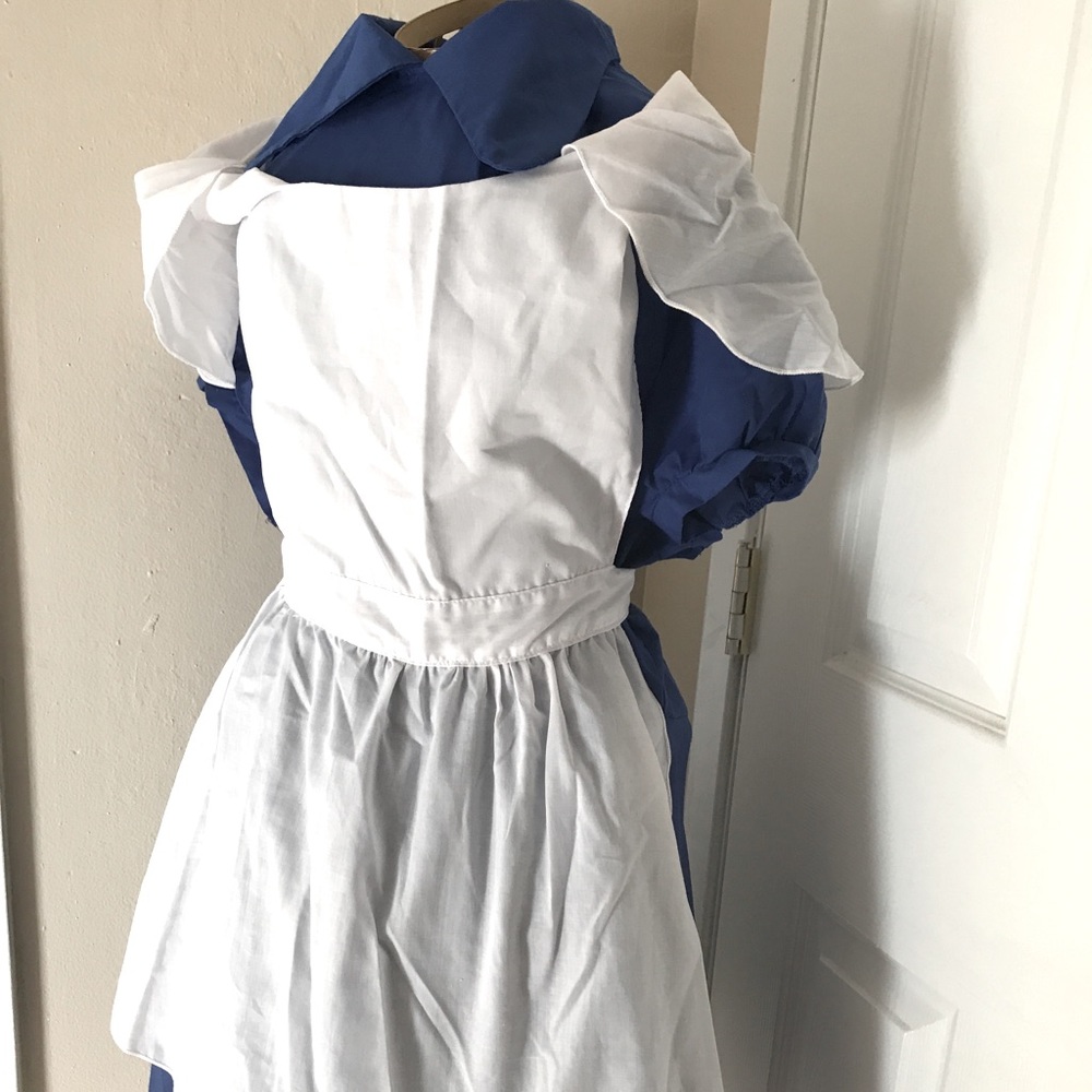 Alice in Wonderland Costume